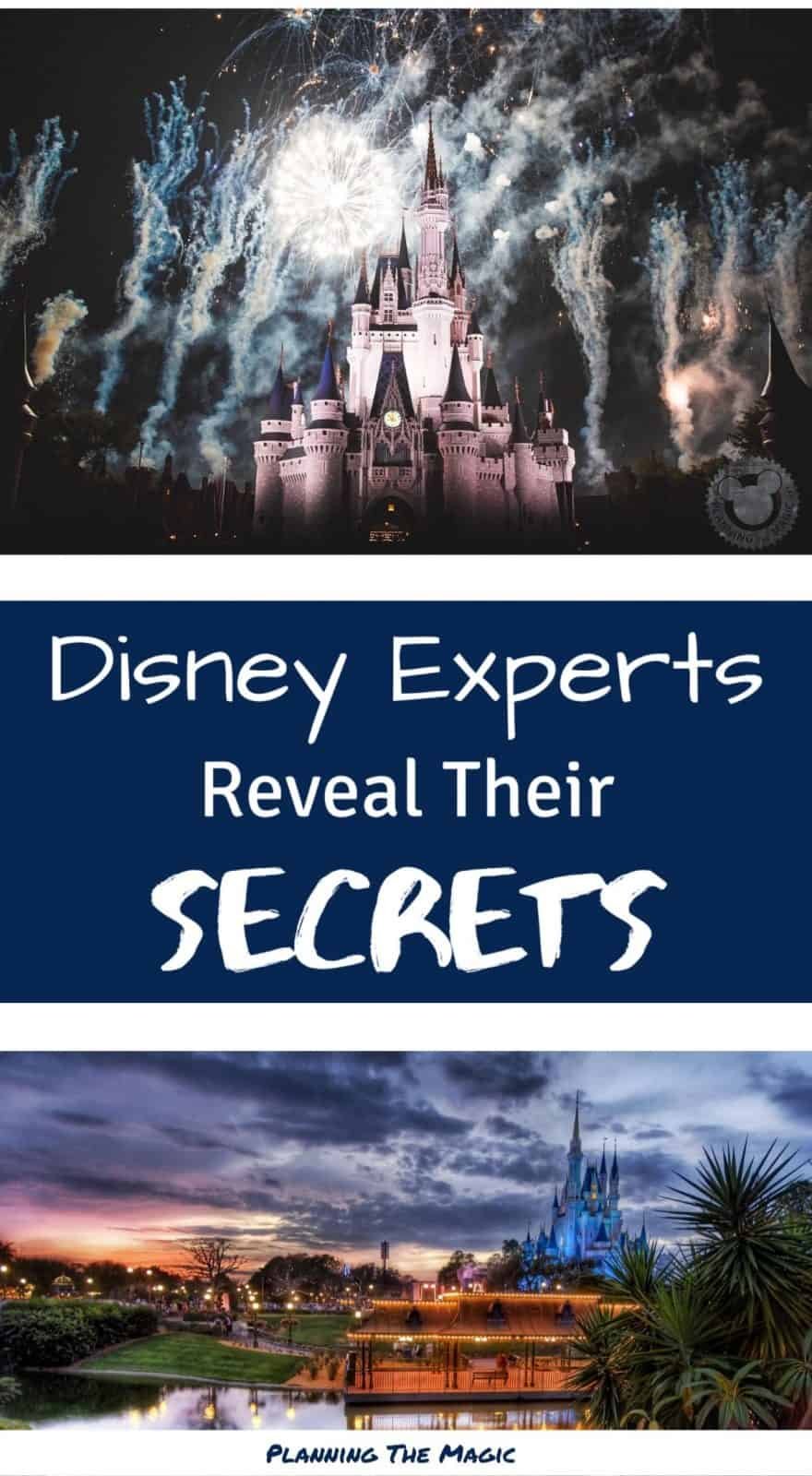 Disney Experts