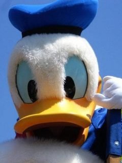 are donald and daisy married