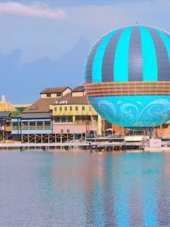 Guest relations at disney springs