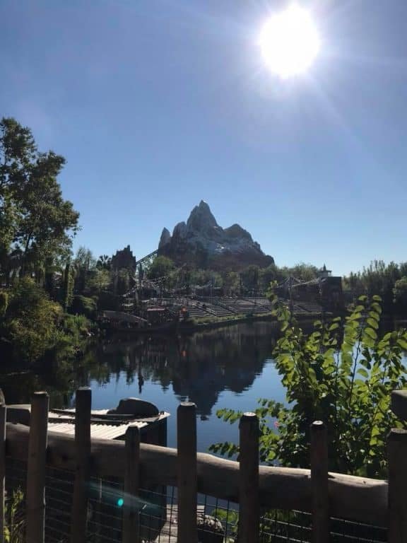 Best Day to Visit Animal Kingdom Planning The Magic